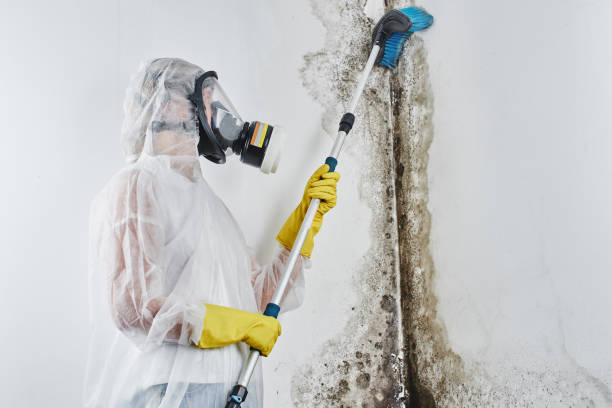 Best Industrial Mold Remediation in Fairfield Plantation, GA