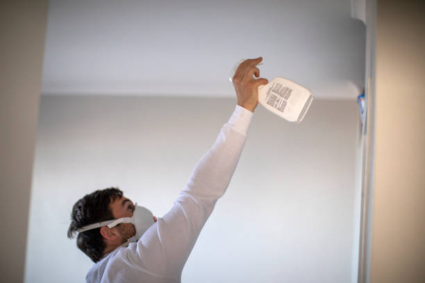 Best Localized Mold Remediation (e.g., coastal areas, humid climates) in Fairfield Plantation, GA