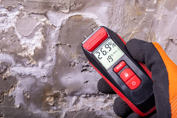 Best HVAC Mold Remediation in Fairfield Plantation, GA