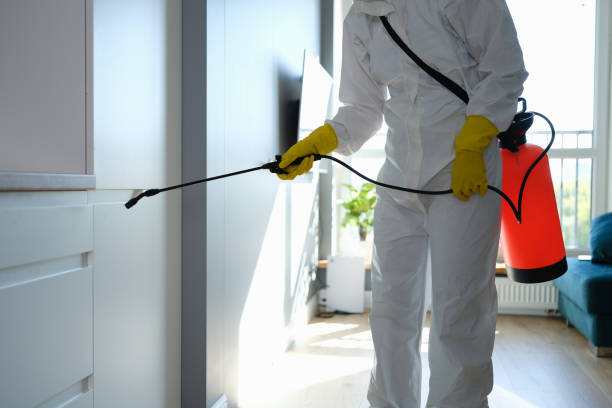 Best Emergency Mold Remediation in Fairfield Plantation, GA
